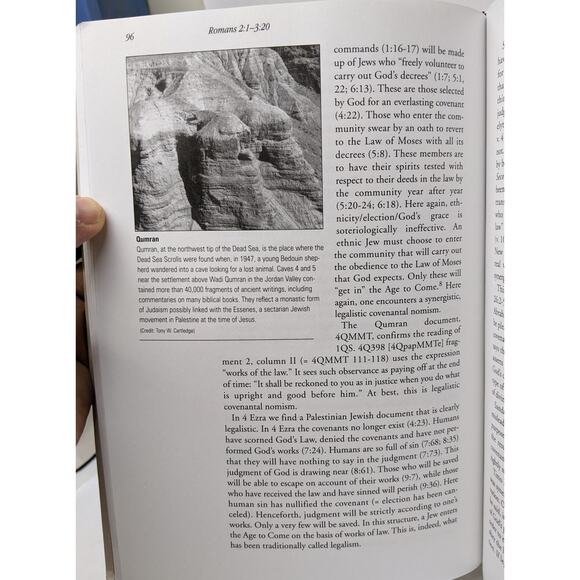 ROMANS - Smyth & Helwys Bible Commentary - Ex-Seminary-Student - SEE DESCRIPTION - Picture 6 of 10